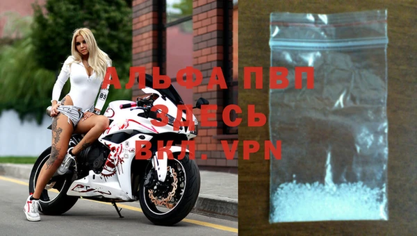 трава Абаза