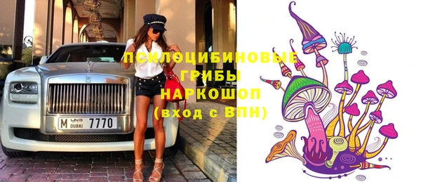 трава Абаза