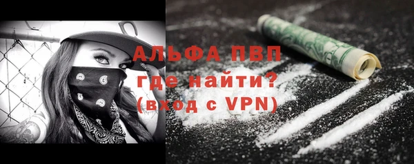 гашик Горняк