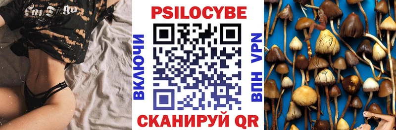 Псилоцибиновые грибы Psilocybe  Ярославль 