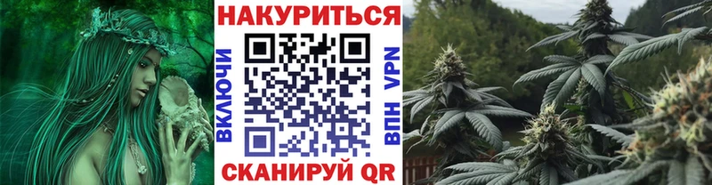 Бошки марихуана план Ярославль